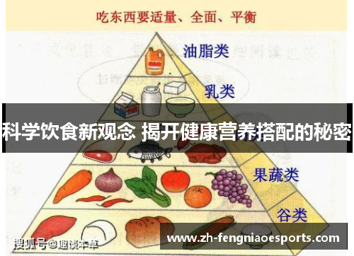 科学饮食新观念 揭开健康营养搭配的秘密